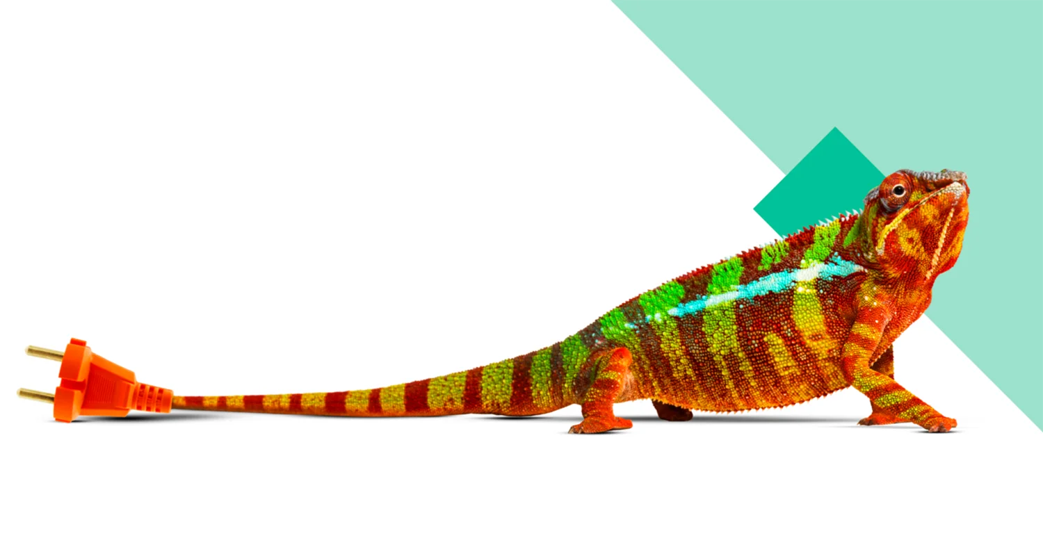 Cover des State of the Nation Reports 2022 von VIOOH.